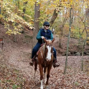 Dovetail Farm Horse Boarding