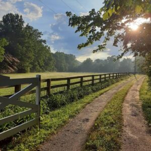 top 3 horse boarding facilities near Atlanta